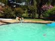 Dezzi, her full name is Tiff N Ruff's Golden Desire. loves the pool! Picture 10